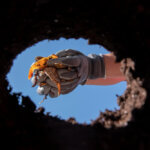 Trenchless Plumbing Techniques