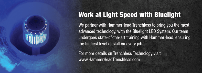 Work at light speed with Bluelight